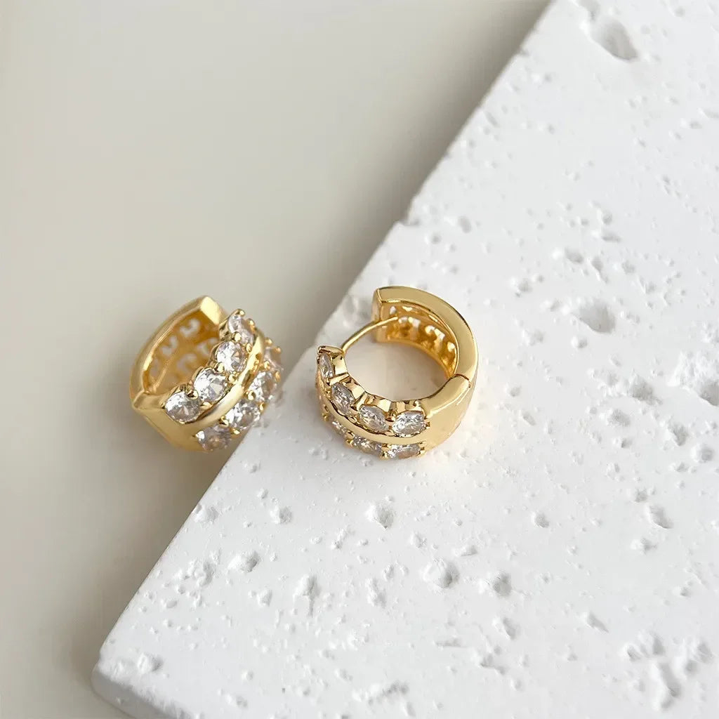Gold-Plated Stainless Steel Round Circle Earrings with Cubic Zirconia
